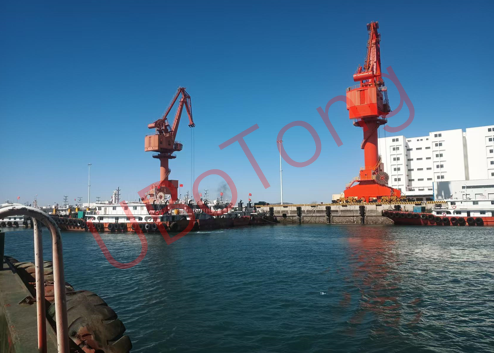 圖片6.png 圖片6.png